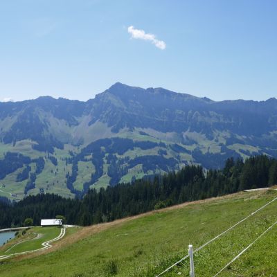 116 Auf der Marbachegg auf 1500m 